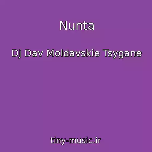 کاور آهنگ Nunta از Dj Dav Moldavskie Tsygane