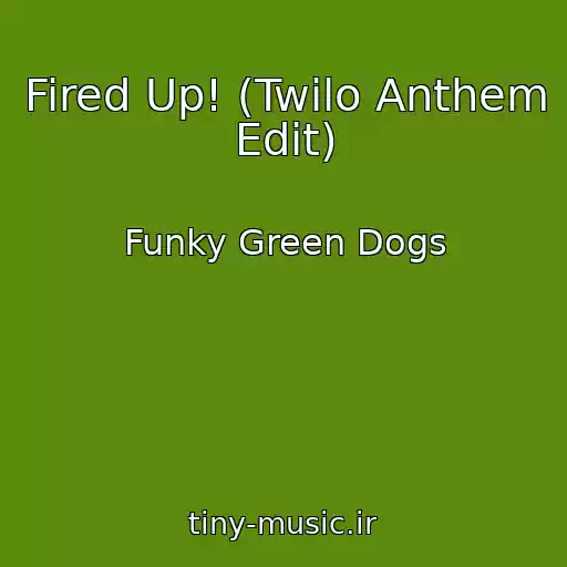 کاور آهنگ Fired Up! (Twilo Anthem Edit) از Funky Green Dogs
