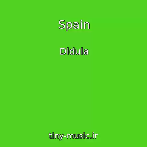 کاور آهنگ Spain از Didula