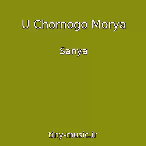 کاور آهنگ U Chornogo Morya از Sanya