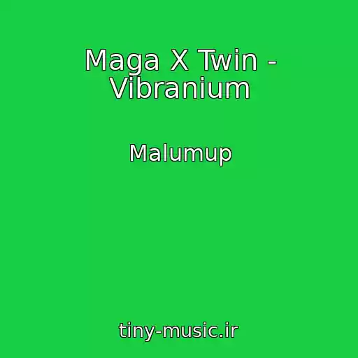 کاور آهنگ Maga X Twin - Vibranium از Malumup