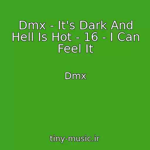 کاور آهنگ Dmx - It's Dark And Hell Is Hot - 16 - I Can Feel It از Dmx