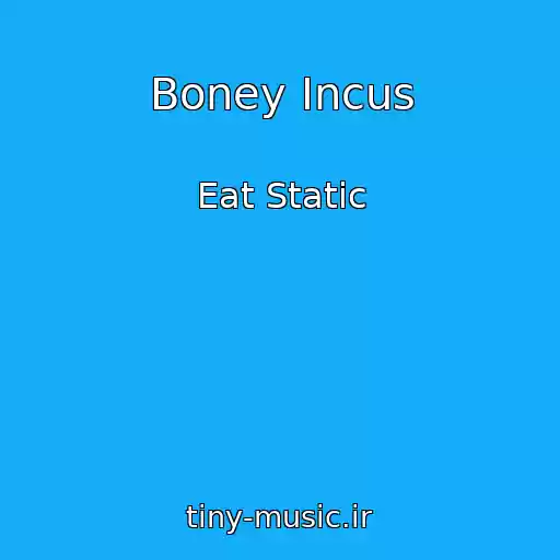 کاور آهنگ Boney Incus از Eat Static
