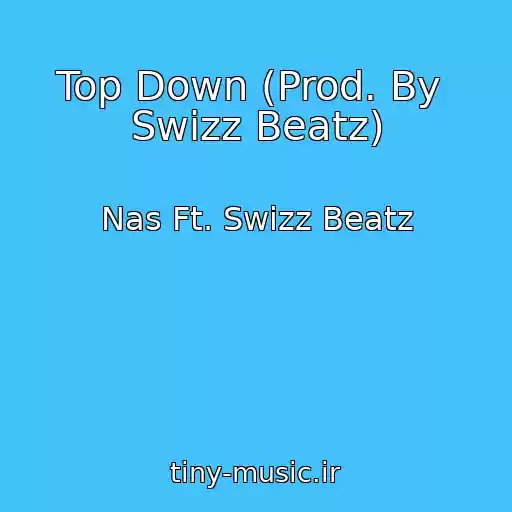 کاور آهنگ Top Down (Prod. By  Swizz Beatz) از Nas Ft. Swizz Beatz