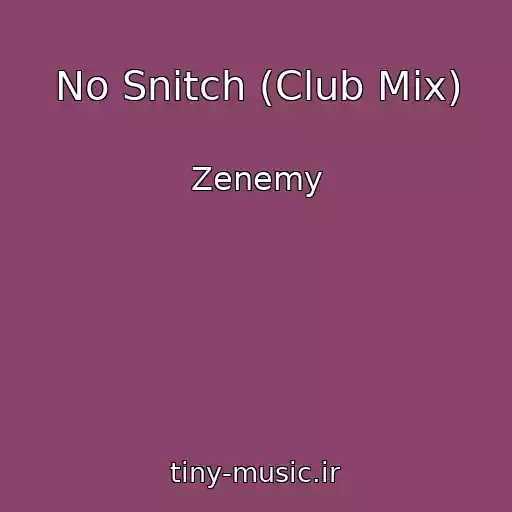 کاور آهنگ No Snitch (Club Mix) از Zenemy