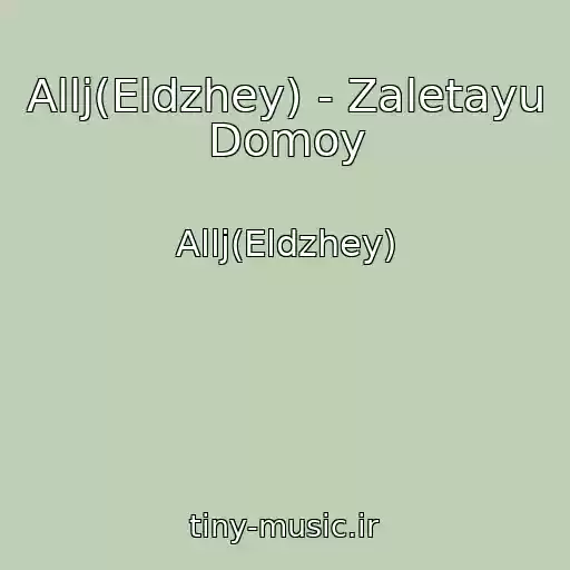 کاور آهنگ Allj(Eldzhey) - Zaletayu Domoy از Allj(Eldzhey)