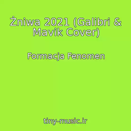 کاور آهنگ Żniwa 2021 (Galibri & Mavik Cover) از Formacja Fenomen