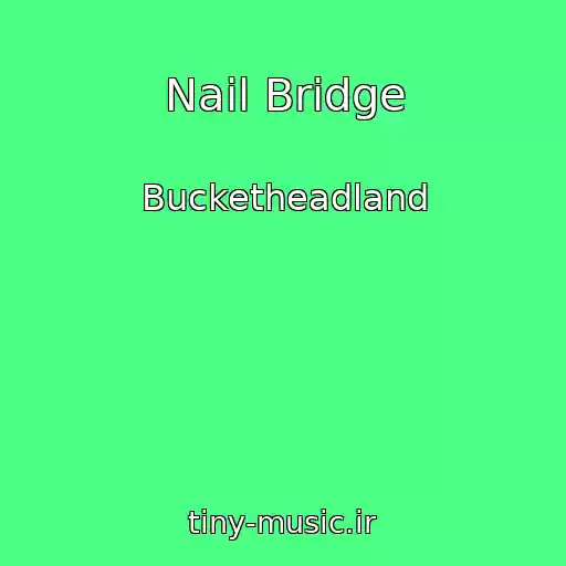 کاور آهنگ Nail Bridge از Bucketheadland
