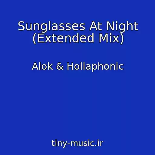 کاور آهنگ Sunglasses At Night (Extended Mix) از Alok & Hollaphonic