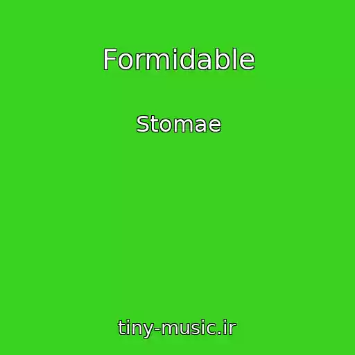 کاور آهنگ Formidable از Stomae