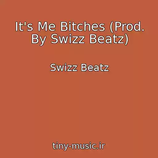 کاور آهنگ It's Me Bitches (Prod. By Swizz Beatz) از Swizz Beatz