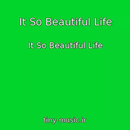 کاور آهنگ It So Beautiful Life از It So Beautiful Life