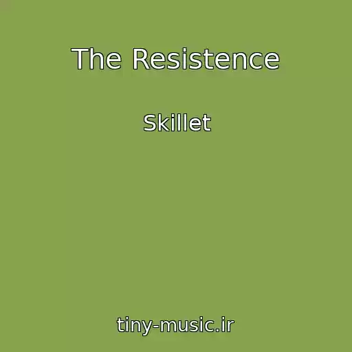 کاور آهنگ The Resistence از Skillet