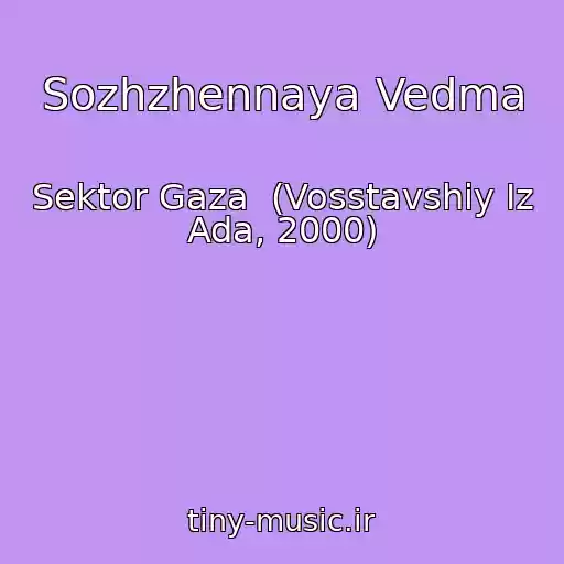کاور آهنگ Sozhzhennaya Vedma از Sektor Gaza  (Vosstavshiy Iz Ada, 2000)