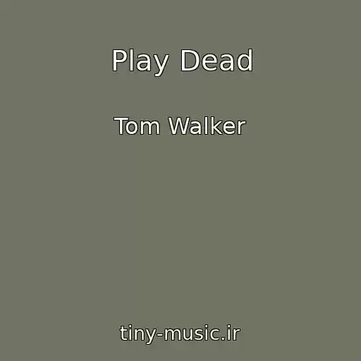کاور آهنگ Play Dead از Tom Walker