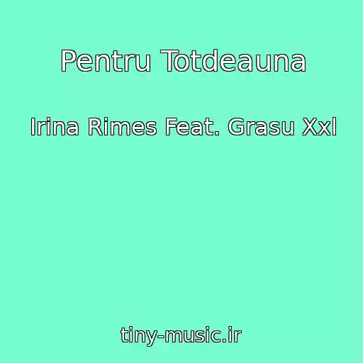 کاور آهنگ Pentru Totdeauna از Irina Rimes Feat. Grasu Xxl