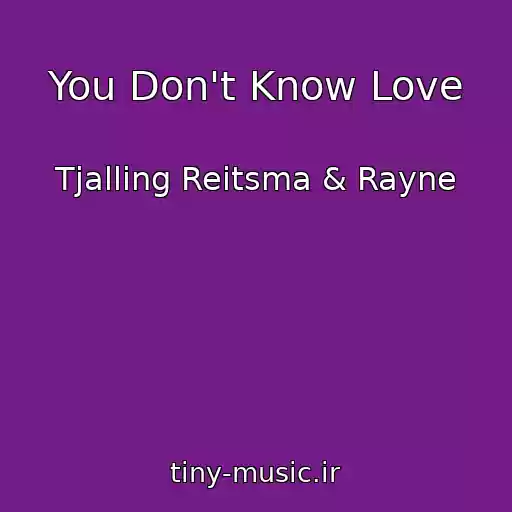کاور آهنگ You Don't Know Love از Tjalling Reitsma & Rayne