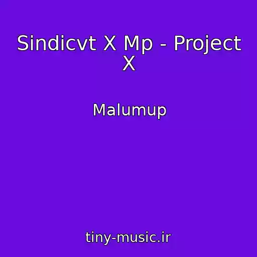 کاور آهنگ Sindicvt X Mp - Project X از Malumup