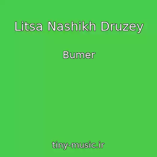 کاور آهنگ Litsa Nashikh Druzey از Bumer