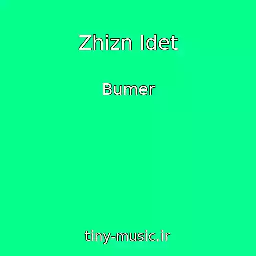 کاور آهنگ Zhizn Idet از Bumer