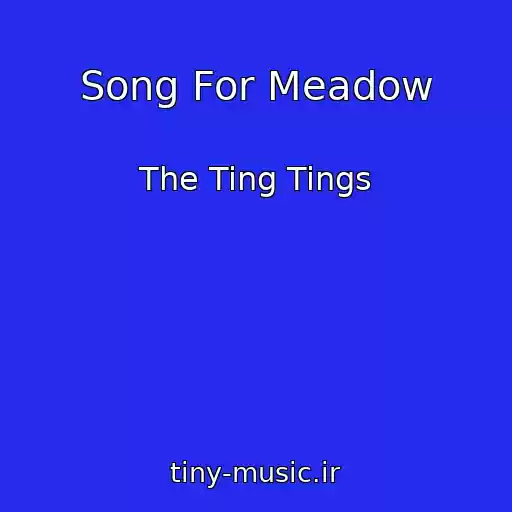 کاور آهنگ Song For Meadow از The Ting Tings