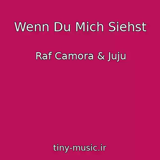 کاور آهنگ Wenn Du Mich Siehst از Raf Camora & Juju