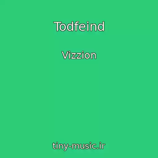 کاور آهنگ Todfeind از Vizzion