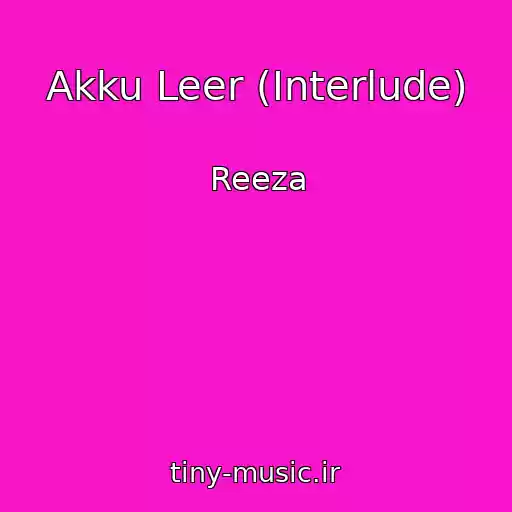 کاور آهنگ Akku Leer (Interlude) از Reeza