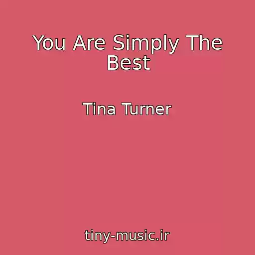 کاور آهنگ You Are Simply The Best از Tina Turner