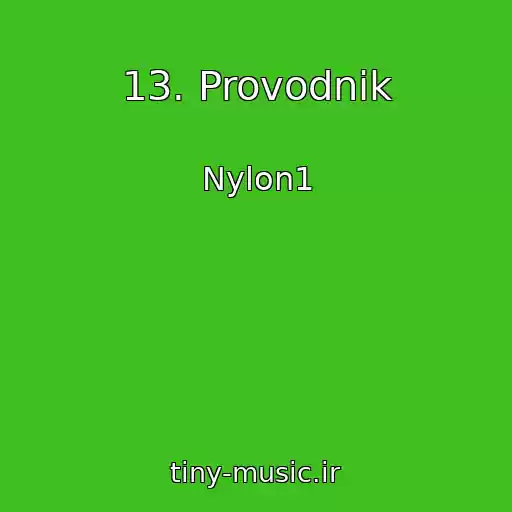 کاور آهنگ 13. Provodnik از Nylon1