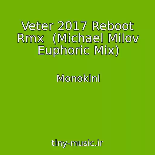کاور آهنگ Veter 2017 Reboot Rmx  (Michael Milov Euphoric Mix) از Monokini