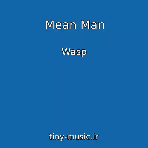 کاور آهنگ Mean Man از Wasp