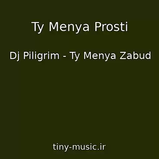 کاور آهنگ Ty Menya Prosti از Dj Piligrim - Ty Menya Zabud