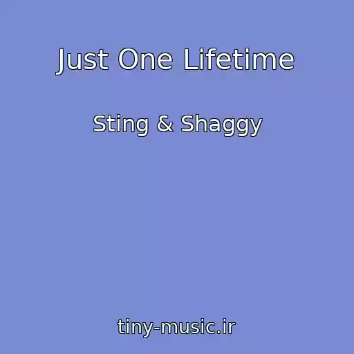 کاور آهنگ Just One Lifetime از Sting & Shaggy
