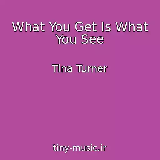کاور آهنگ What You Get Is What You See از Tina Turner