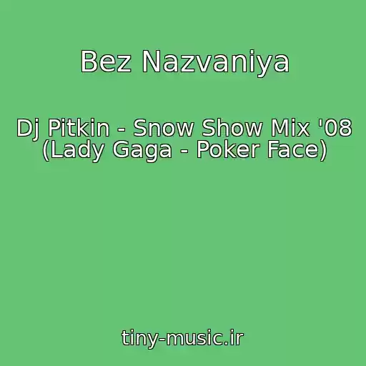 کاور آهنگ Bez Nazvaniya از Dj Pitkin - Snow Show Mix '08 (Lady Gaga - Poker Face)
