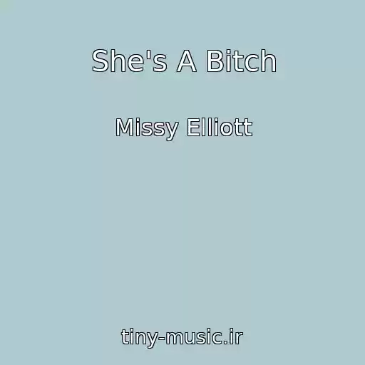 کاور آهنگ She's A Bitch از Missy Elliott