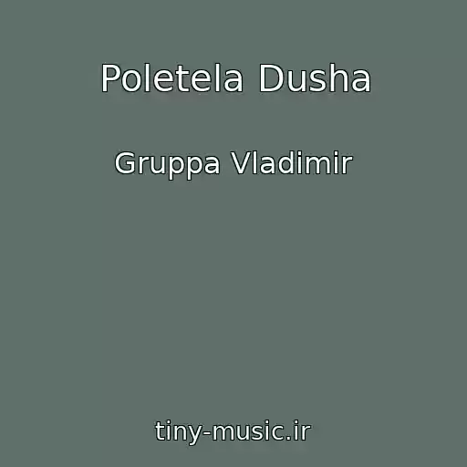 کاور آهنگ Poletela Dusha از Gruppa Vladimir