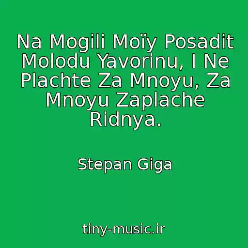 کاور آهنگ Na Mogilі Moїy Posadіt Molodu Yavorinu, І Ne Plachte Za Mnoyu, Za Mnoyu Zaplache Rіdnya. از Stepan Gіga