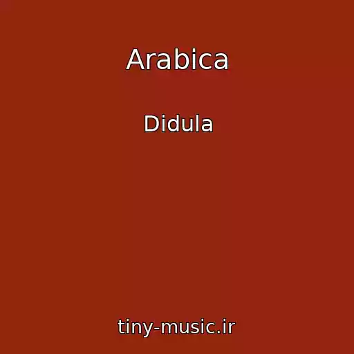 کاور آهنگ Arabica از Didula