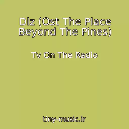 کاور آهنگ Dlz (Ost The Place Beyond The Pines) از Tv On The Radio