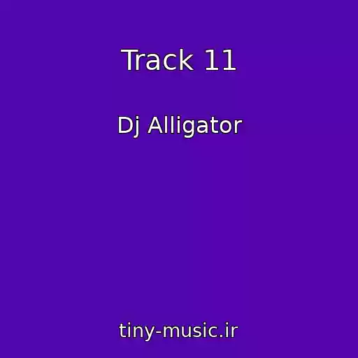کاور آهنگ Track 11 از Dj Alligator