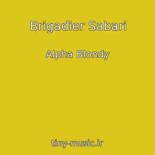 کاور آهنگ Brigadier Sabari از Alpha Blondy