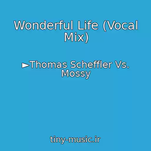 کاور آهنگ Wonderful Life (Vocal Mix) از ►Thomas Scheffler Vs. Mossy