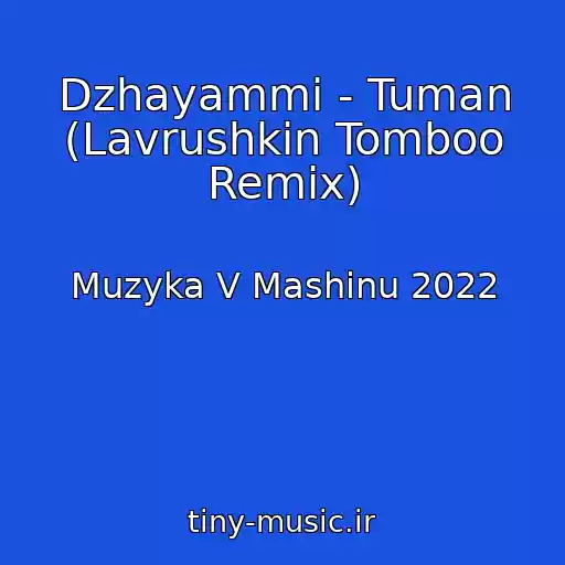 کاور آهنگ Dzhayammi - Tuman (Lavrushkin Tomboo Remix) از Muzyka V Mashinu 2022
