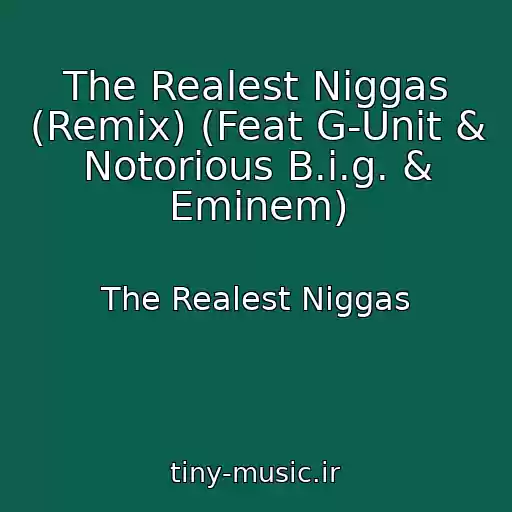 کاور آهنگ The Realest Niggas (Remix) (Feat G-Unit & Notorious B.i.g. & Eminem) از The Realest Niggas