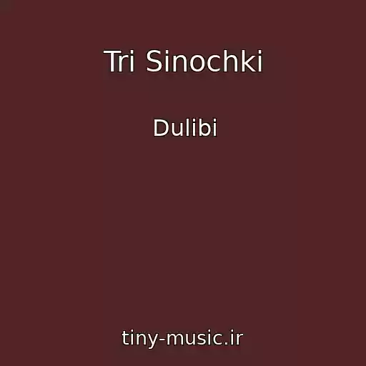 کاور آهنگ Tri Sinochki از Dulіbi