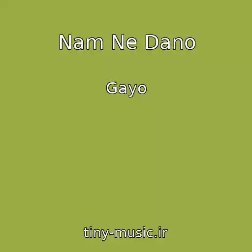 کاور آهنگ Nam Ne Dano از Gayo