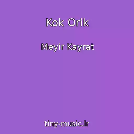کاور آهنگ Kok Orik از Meyir Kayrat