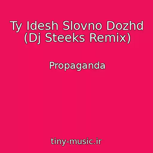کاور آهنگ Ty Idesh Slovno Dozhd (Dj Steeks Remix) از Propaganda